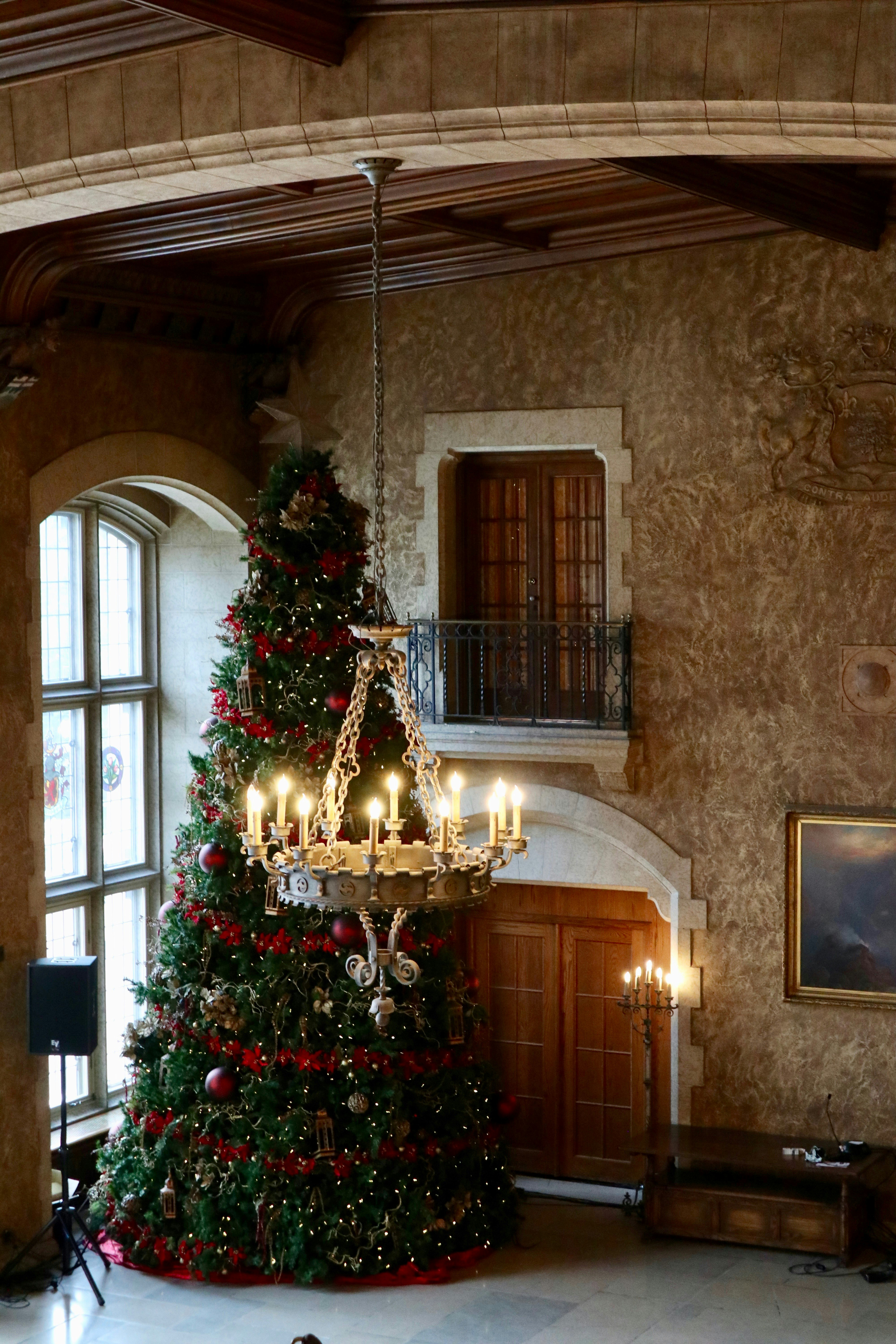 Christmas tree beside closed doors and near chandelier turned on